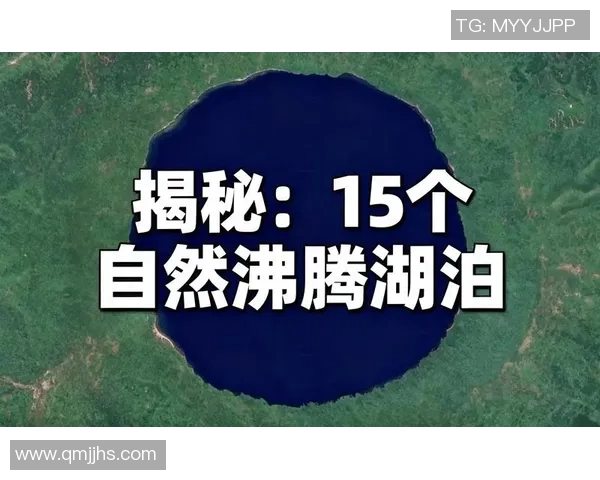 西甲精彩对决那不勒斯三球逆转波尔图全场沸腾数据分析揭秘