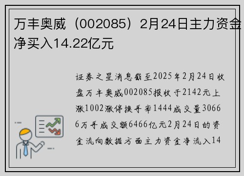 万丰奥威（002085）2月24日主力资金净买入14.22亿元