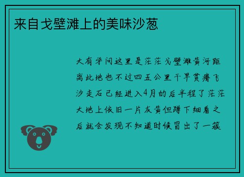 来自戈壁滩上的美味沙葱