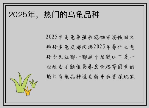 2025年，热门的乌龟品种