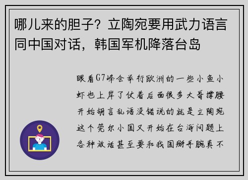哪儿来的胆子？立陶宛要用武力语言同中国对话，韩国军机降落台岛