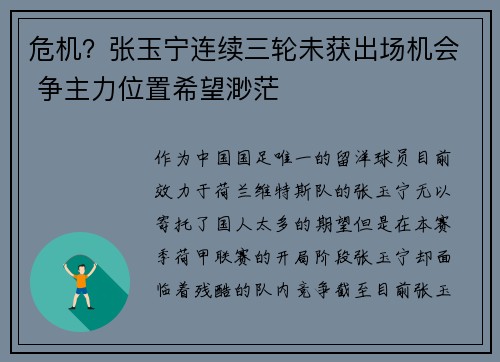 危机？张玉宁连续三轮未获出场机会 争主力位置希望渺茫